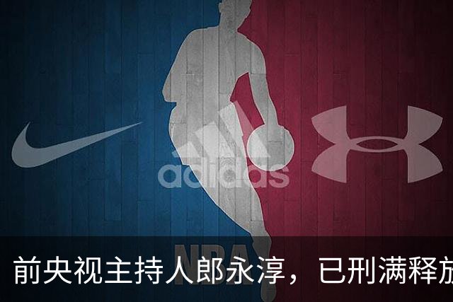 前央视主持人郎永淳，已刑满释放8年了，如今儿子成“心结”