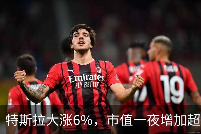 特斯拉大涨6%，市值一夜增加超5300亿元，美股芯片半导体股下挫